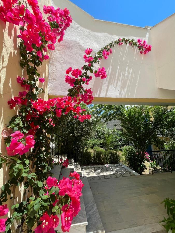 קאסיופי Sunflower Apartments & Studios מראה חיצוני תמונה
